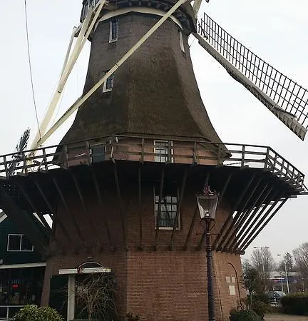 아파트 Terrace Cyclades Free Parking